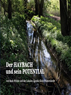 cover image of Der HAYBACH und sein POTENTIAL